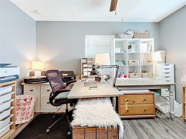 office area featuring light hardwood / wood-style flooring