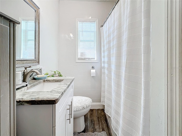 bathroom featuring toilet, vanity, and hardwood / wood-style flooring