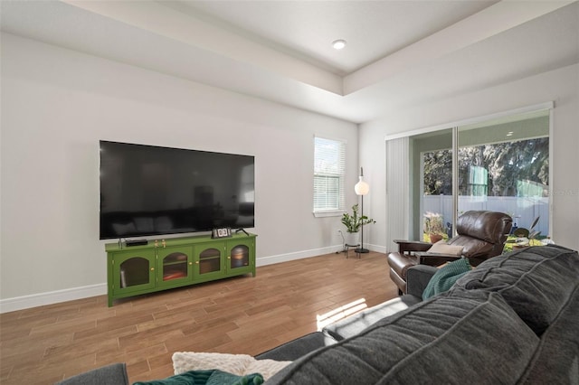 living room featuring wood-type flooring