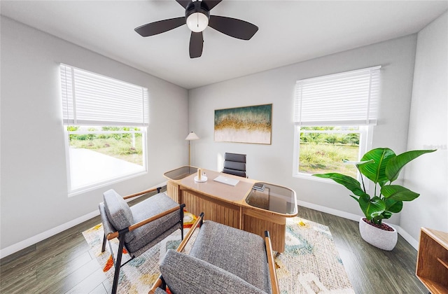 office featuring ceiling fan and dark wood-type flooring