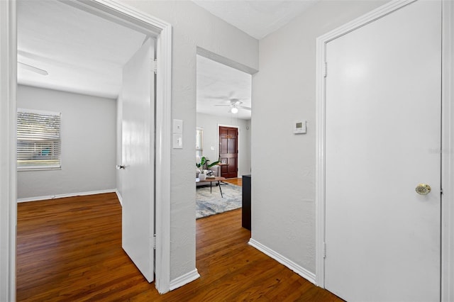 hall featuring dark hardwood / wood-style floors