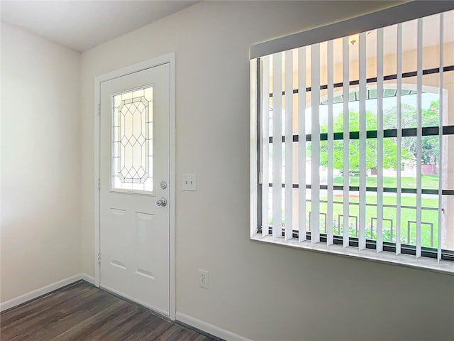 foyer entrance featuring dark hardwood / wood-style flooring and a wealth of natural light