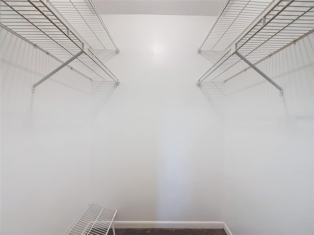 1237 N Lion Cub Pt, Lecanto, FL 34461 - view of spacious closet