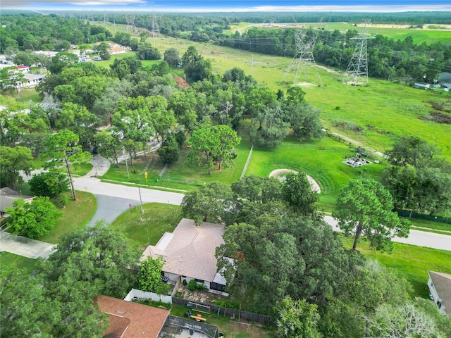 1237 N Lion Cub Pt, Lecanto, FL 34461 - aerial view of property's location