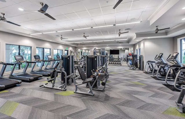 exercise room with carpet floors, plenty of natural light, and ceiling fan