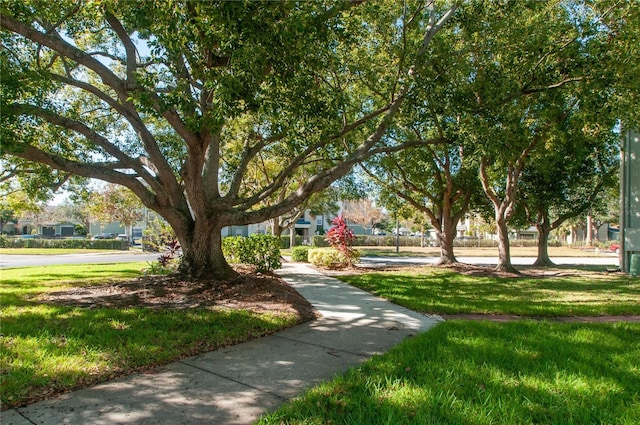 view of property's community with a yard