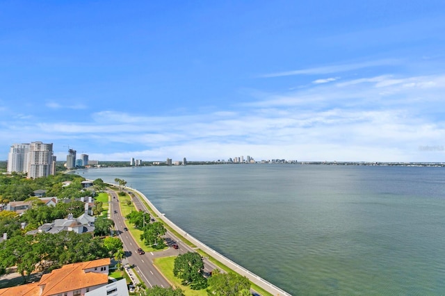 4015 Bayshore Blvd Unit 16A, Tampa, FL 33611 - water view featuring city skyline