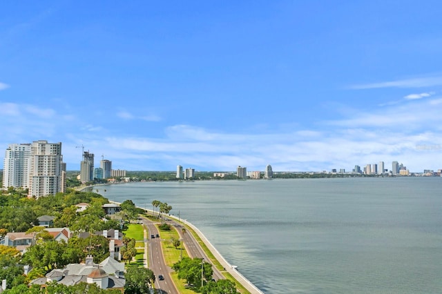 4015 Bayshore Blvd Unit 16A, Tampa, FL 33611 - water view featuring skyline
