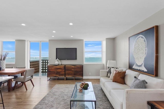 4015 Bayshore Blvd Unit 16A, Tampa, FL 33611 - living area with wood finished floors, plenty of natural light, recessed lighting, and baseboards