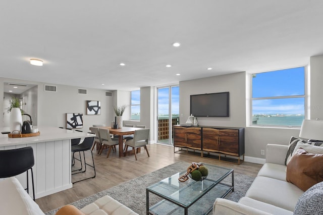 living room with light wood-type flooring