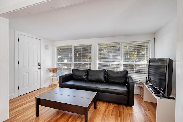 living room featuring light wood-type flooring