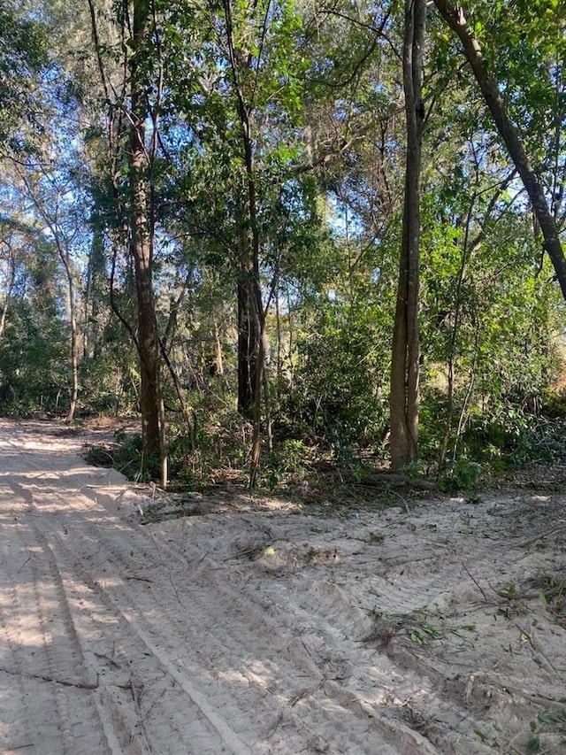 684 SE Murphy Pl, Lake City FL, 32025 land for sale