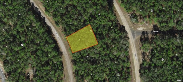 8587 N Stern Way, Citrus Springs, FL 34434 - photo 2