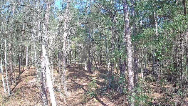 8587 N Stern Way, Citrus Springs, FL 34434 - photo 3
