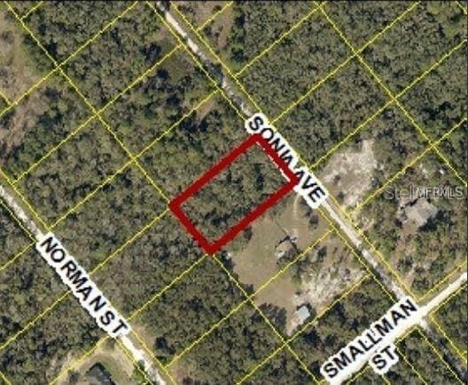 7241 Sonia Ave, Webster FL, 33597 land for sale