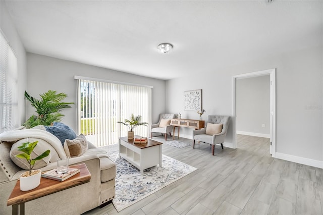 living room featuring light hardwood / wood-style floors