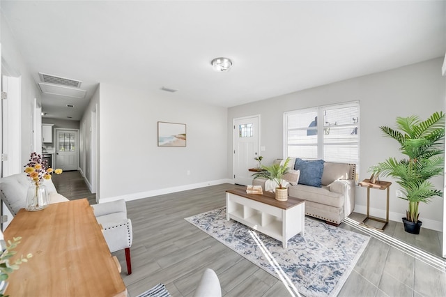 living room featuring hardwood / wood-style floors