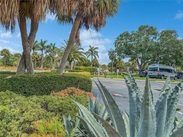 1515 Pinellas Bayway S Unit 40, Saint Petersburg, FL 33715 - view of surrounding community