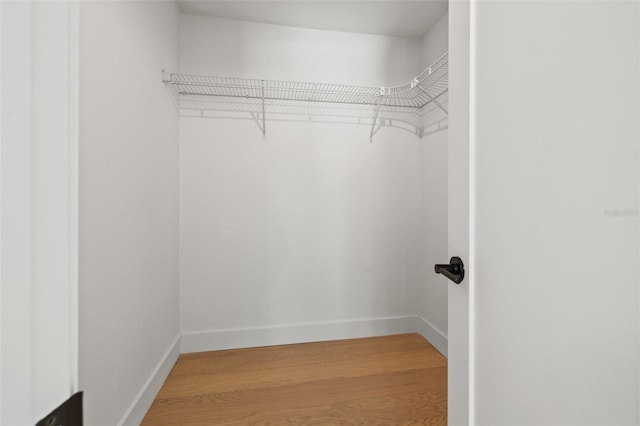 spacious closet featuring wood-type flooring