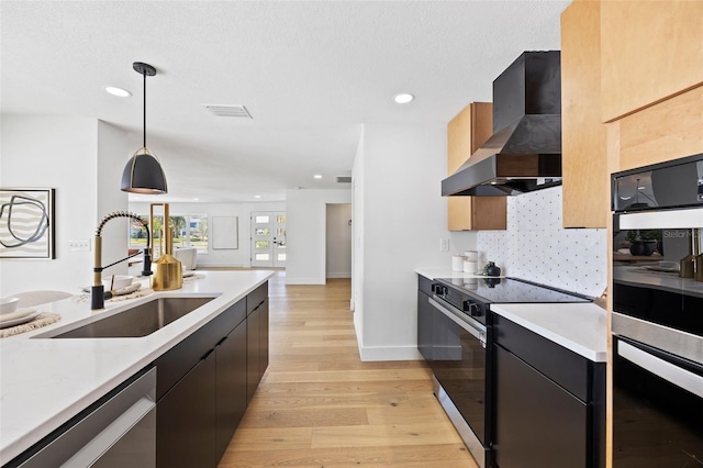 kitchen with sink, hanging light fixtures, light hardwood / wood-style flooring, appliances with stainless steel finishes, and range hood