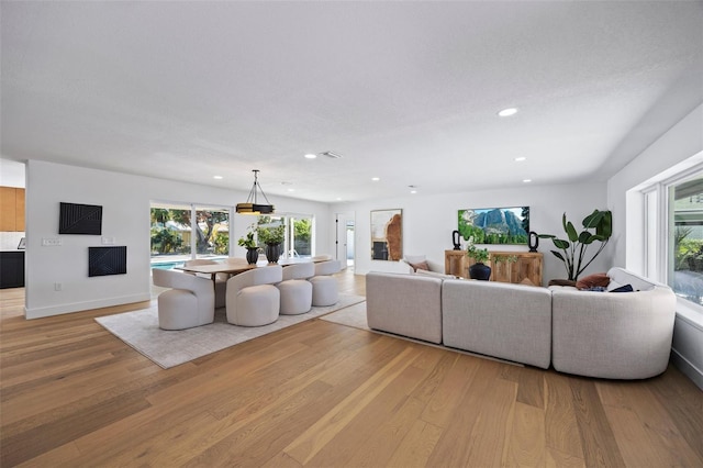 living room featuring a healthy amount of sunlight and light wood-type flooring