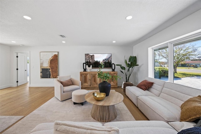 living room featuring light wood-type flooring