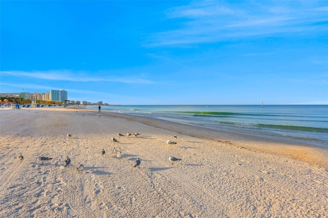 475 Island Way, Clearwater Beach, FL 33767 - water view featuring local beach