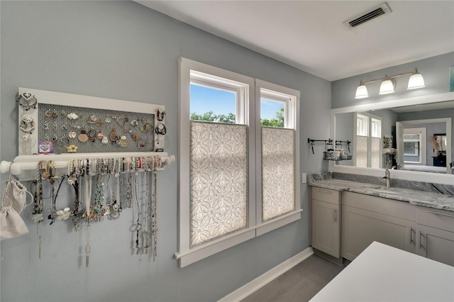 bathroom with wood-type flooring and vanity