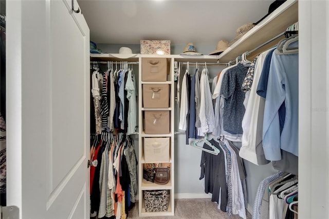 spacious closet featuring carpet