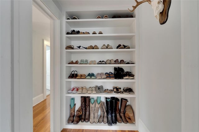 view of closet