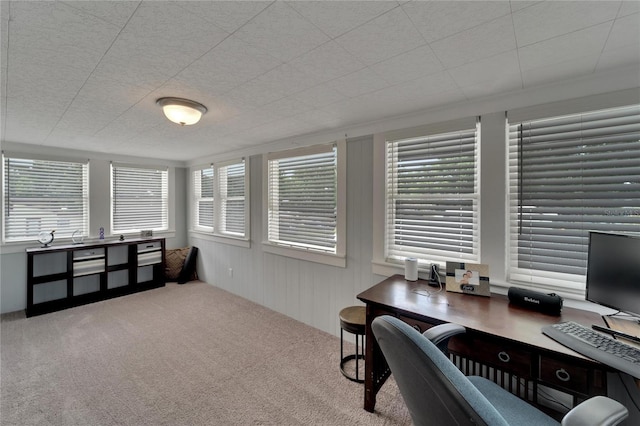 home office featuring carpet and a wealth of natural light