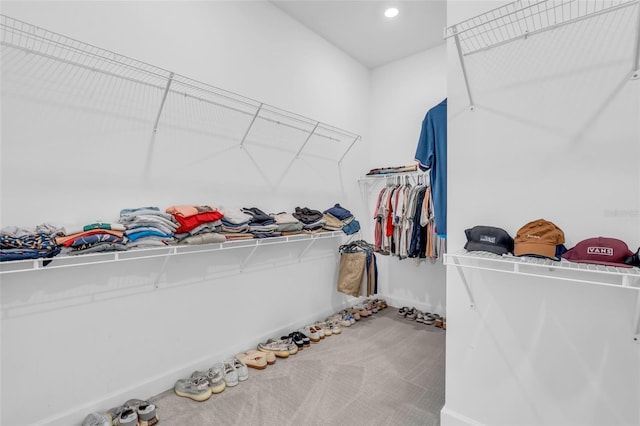 spacious closet featuring carpet flooring