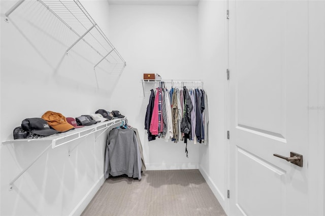 walk in closet with carpet flooring