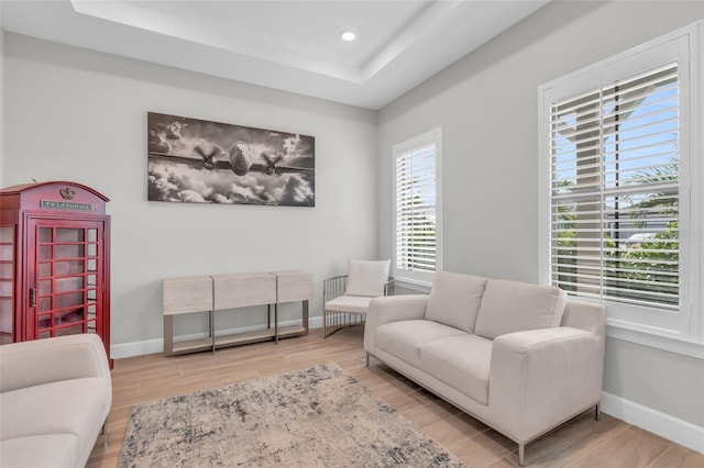 living room featuring hardwood / wood-style flooring and a raised ceiling