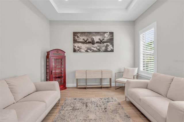 living room with light hardwood / wood-style floors and a tray ceiling