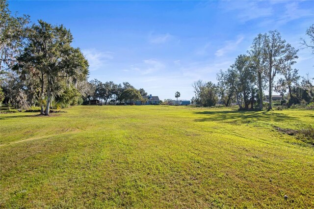 3111 Lewis Rd, Dover, FL 33527 - photo 25