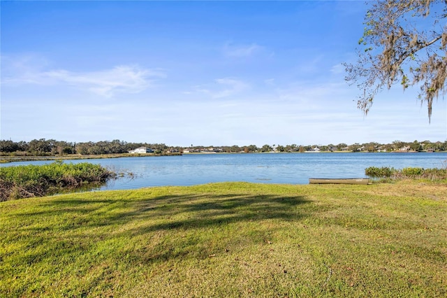 3111 Lewis Rd, Dover, FL 33527 - photo 28