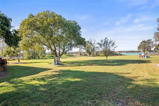 3111 Lewis Rd, Dover, FL 33527 - photo 33