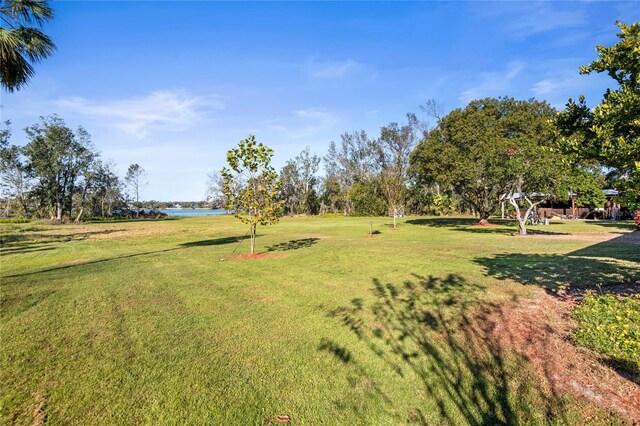 3111 Lewis Rd, Dover, FL 33527 - photo 34