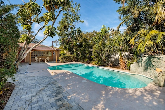 view of pool with a patio area