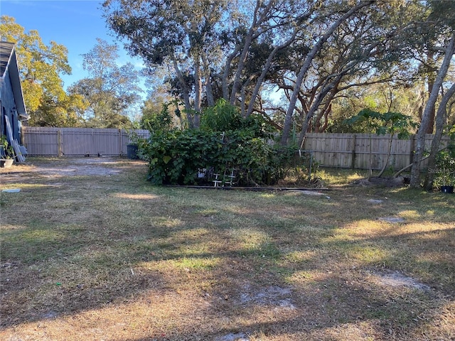 view of yard featuring fence