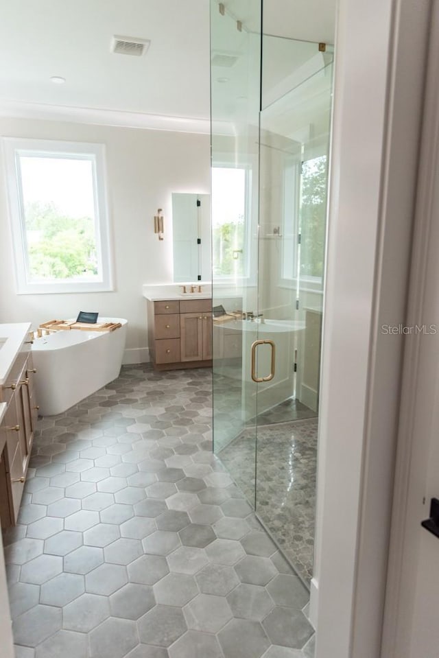 bathroom with separate shower and tub and vanity