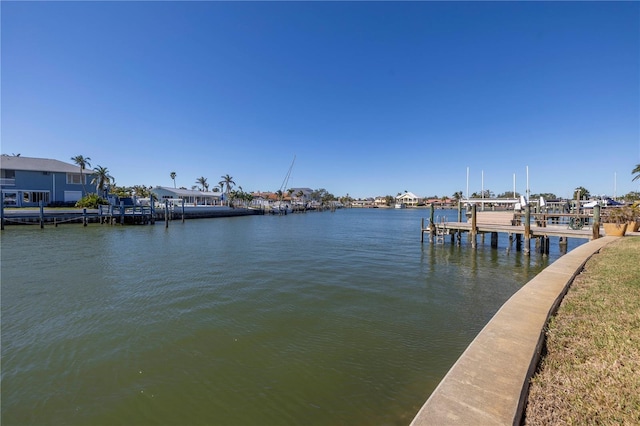 dock area with a water view