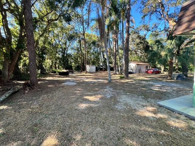12308 N 52nd St, Temple Terrace, FL 33617 - photo 6