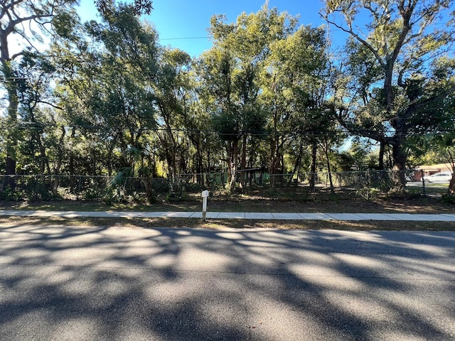 12308 N 52nd St, Temple Terrace, FL 33617 - photo 8
