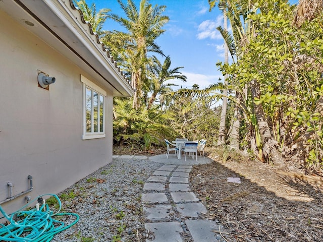 view of yard featuring a patio area