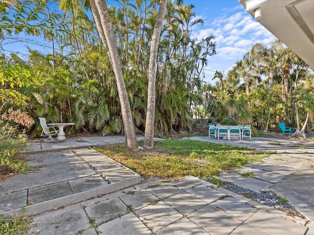 35 Juniper Way, Clearwater Beach, FL 33767 - view of yard with a patio area
