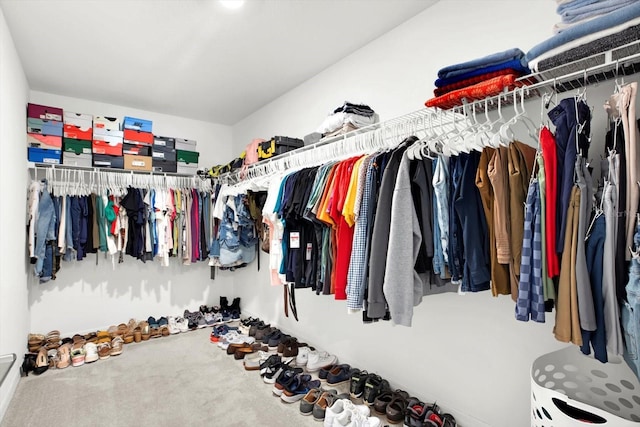 walk in closet featuring carpet flooring