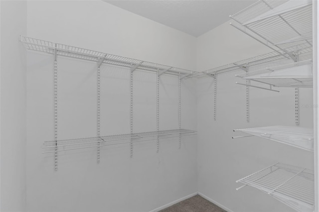 spacious closet with carpet