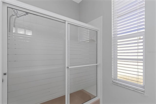 bathroom featuring a shower with shower door